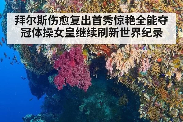 拜尔斯伤愈复出首秀惊艳全能夺冠体操女皇继续刷新世界纪录